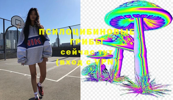ПСИЛОЦИБИНОВЫЕ ГРИБЫ Богородск