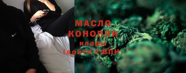 Альфа ПВП Бородино