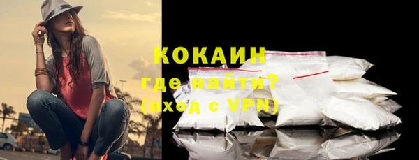 Альфа ПВП Бородино
