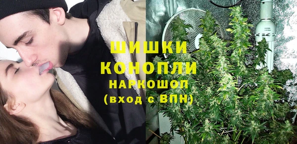 дмт Богородицк