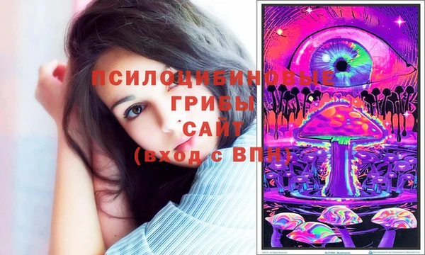 МДПВ Бугульма