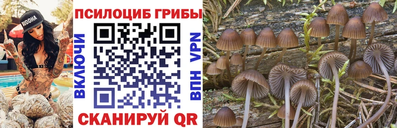 Галлюциногенные грибы MAGIC MUSHROOMS Лыткарино