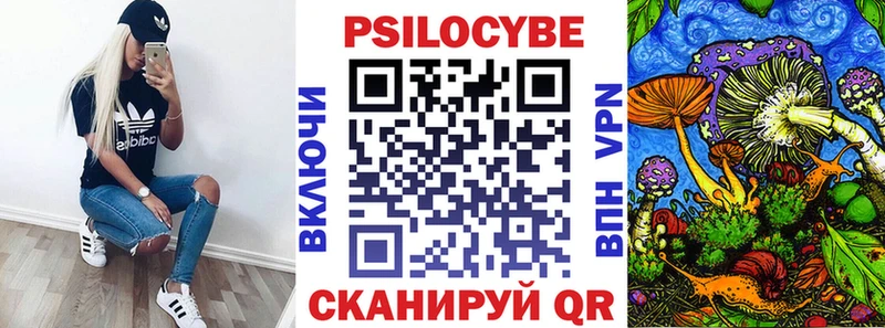 Псилоцибиновые грибы Cubensis Купить Лыткарино